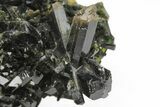 Lustrous, Epidote Crystal Cluster on Actinolite - Pakistan #213435-2